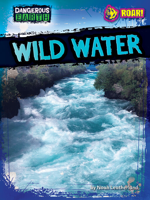 Cover image for Wild Water
